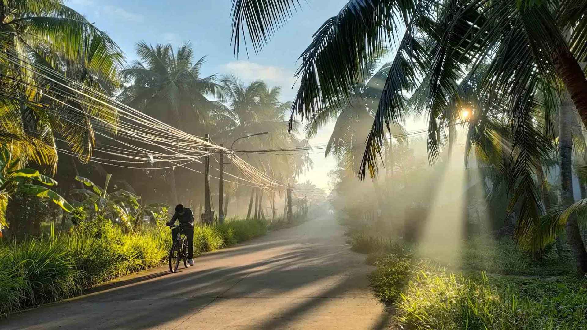 Capture the lush beauty of Ben Tre’s cultural landscapes